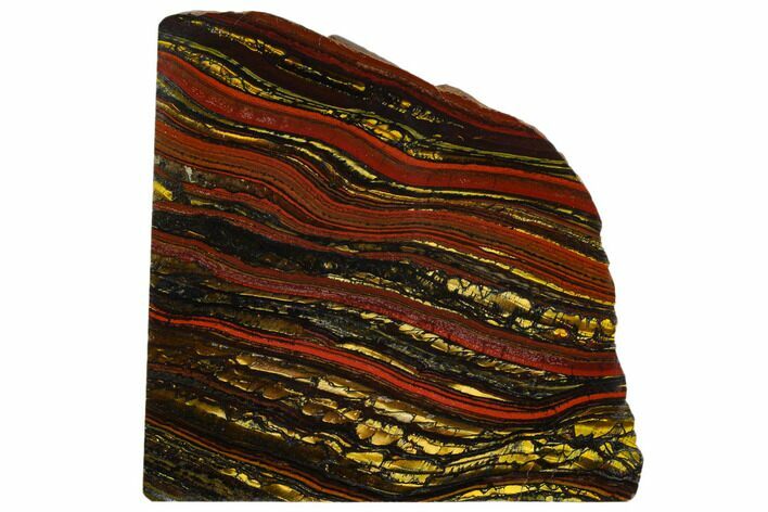 Polished Tiger Iron Stromatolite - Billion Years #129337